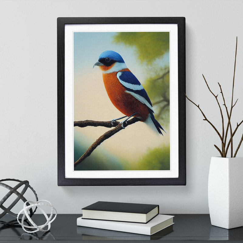 A Splendid Bird - Single Picture Frame Print, Black Framed, 64cm H x 46cm W x 2cm D