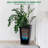 Tall Planters Set of 2 - Outdoor & Indoor Planter Pots with Drainage Holes, Water Level Monitor, Inner Bucket, and Automatic Watering for Front Porch-1204265271-1204265225