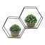 Luchia 2 Piece Hexagon Tiered Shelf
