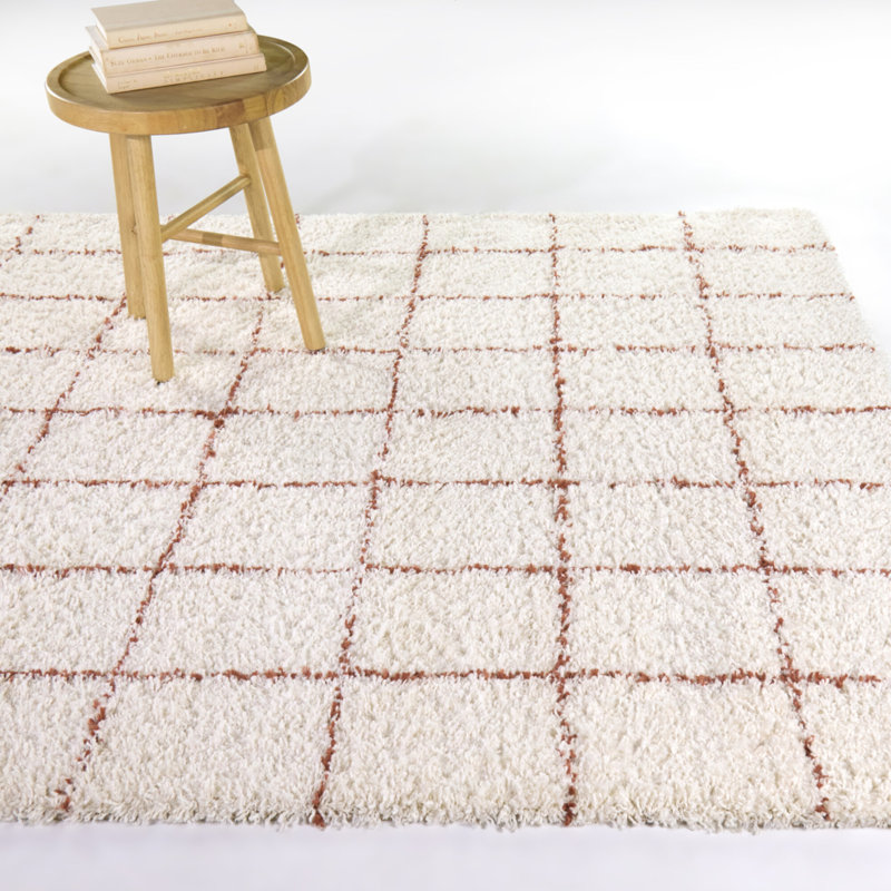 Tapis orange à poils longs Melinda, Rectangle 5 pi 3 po x 7 pi
