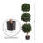 Primrue Set of Two Hedyotis Artificial Trees