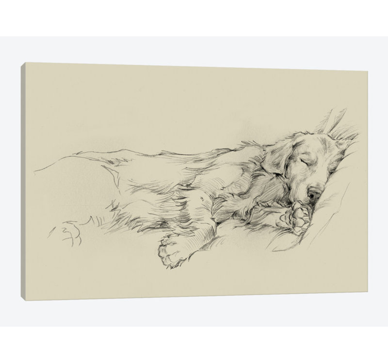 «Dog Days III», impression sur toile, H 26 po x l 40 po x p 1,5 po, Toile tendue