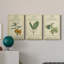 Linnaean Botany III - ensemble de 3 impressions sur toile tendue-782394690