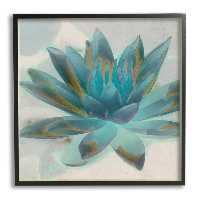 Pétales de fleurs de lotus bleus, Giclée encadrée noir minuit, H 12 po x l 12 po x P 1,5 po