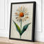 Pale Daisy Study Botanical - Wrapped Canvas-138198693-138198695
