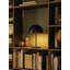 Pin Lamp-1426218556