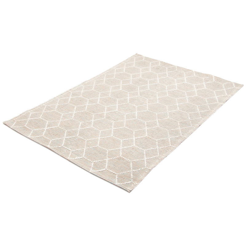 Delanny Performance Hand Braided Wool Indoor Rug