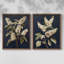 FLORAL Series CLV III - reproduction encadrée de qualité supérieure - prête à être accrochée - aucun clou requis - aucun clou requis-107999134-107999137