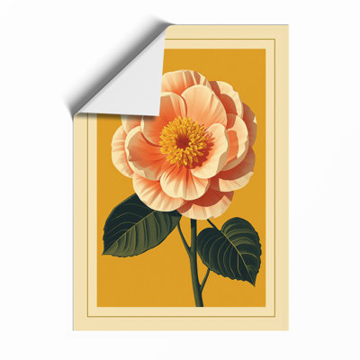 Peach Rose Study Botanical - Print