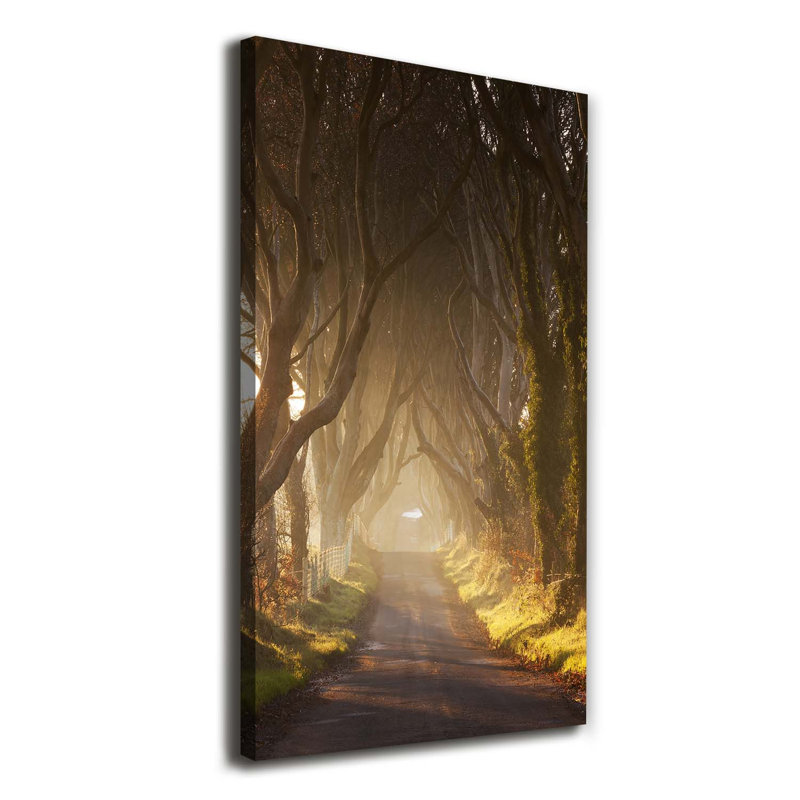Citrus Fruits - Wrapped Canvas Print
