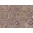 Rovelli Wool Oriental Indoor Rug
