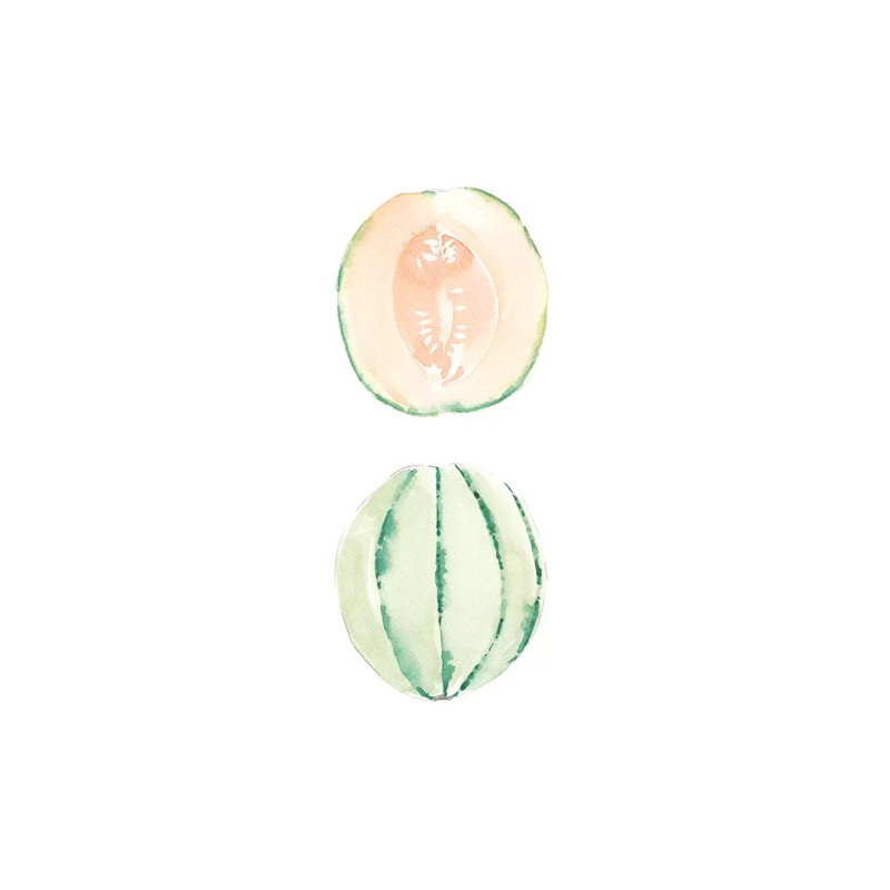 Cantaloupe Slice by Melissa Selmin - Painting on Canvas, Wrapped Canvas, 66.04 cm H x 45.72 cm W x 1.91 cm D