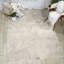 Tapis ivoire / gris Anegada-21132233
