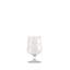 Craft Beer Glass