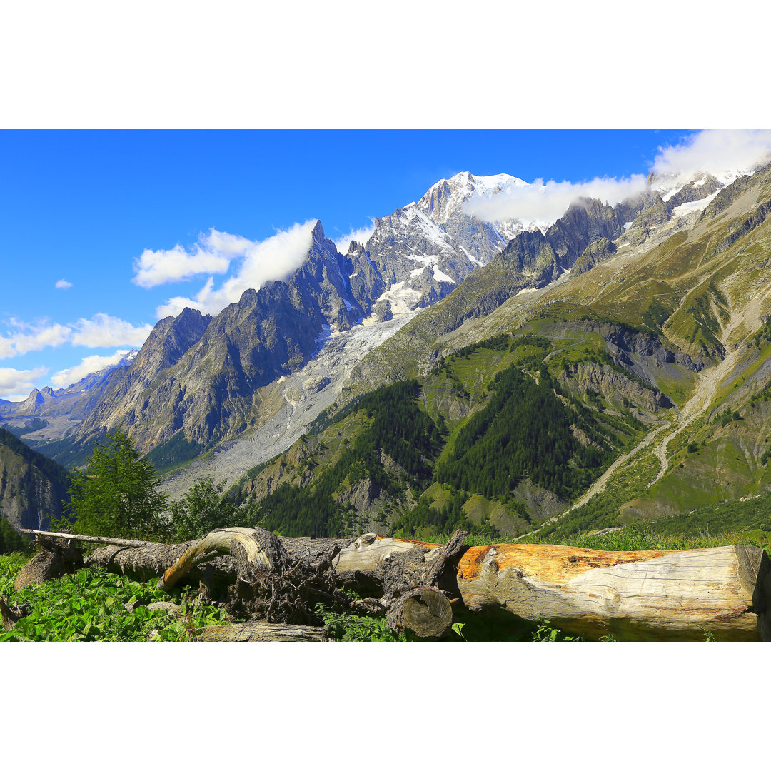 Mont Blanc Idyllische Alpenlandschaft, Kiefernstammwälder, Aostatal by Agustavop - Print