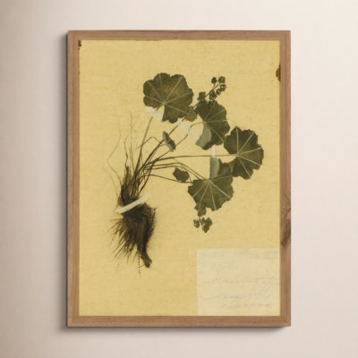 "Petite Study No. Vii" by Hannah Winters