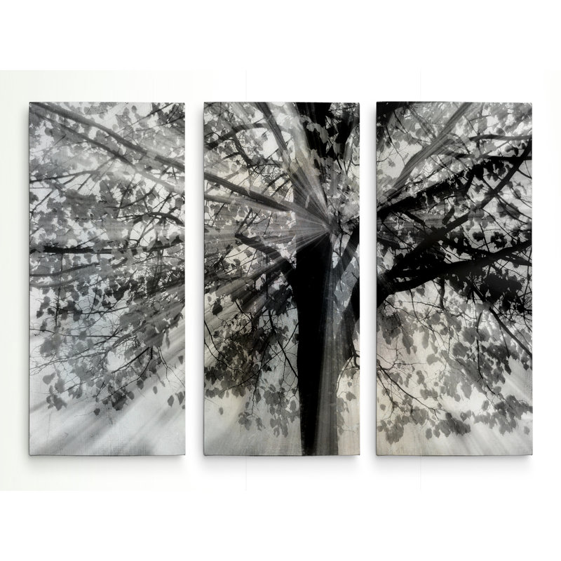 «Story from Light and Shadow» - Reproduction d'images multi-pièces sur toile, H 40 po x l 60 po x P 1,5 po