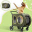 Poussette pour chien 2025 améliorée pour grands et moyens chiens, poussette pour 2 petits chiens, chariot pliant avec support amovible pour siège d'auto, poignée réglable, jusqu'à 90 lb, vert-117878055
