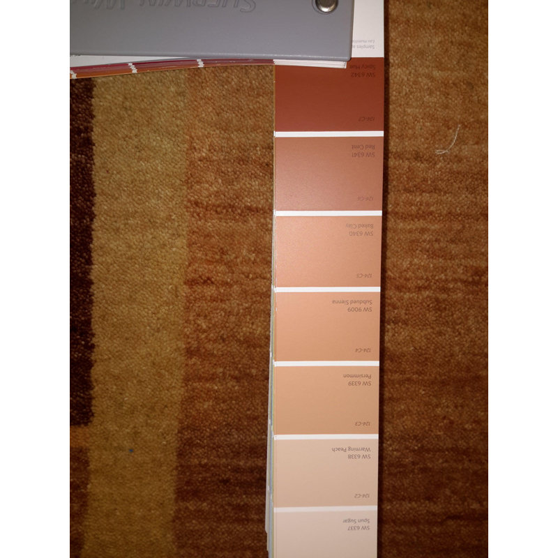 Osinachi Area Rug in Light Cinnamon
