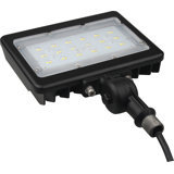 LED Flood Light