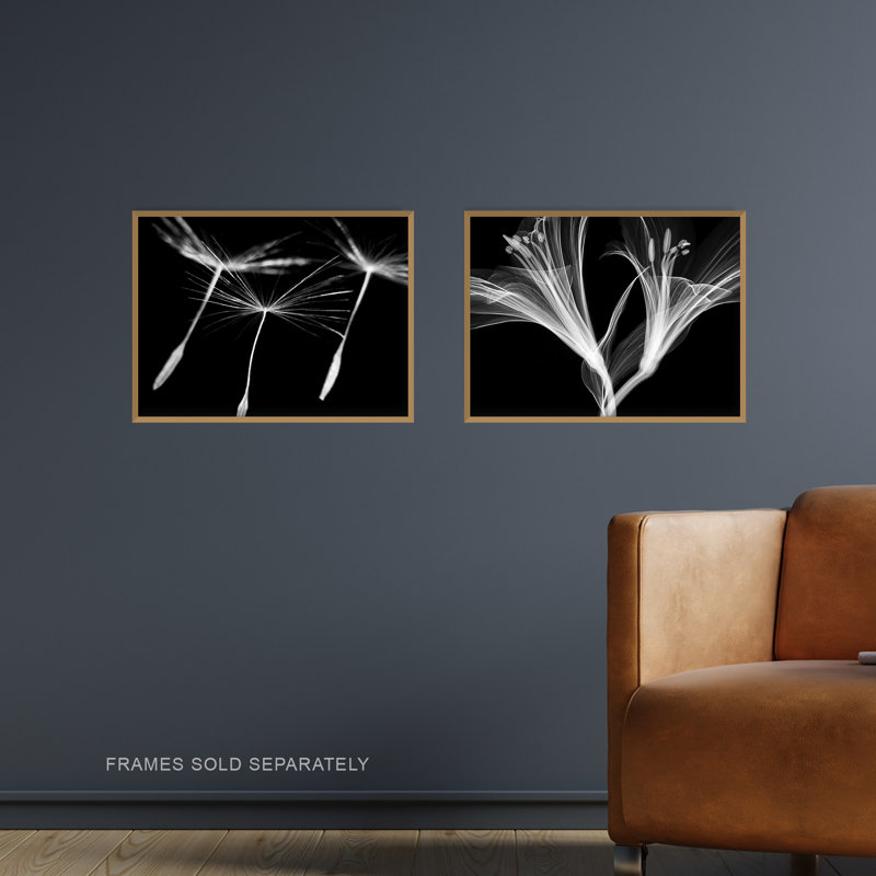 Dandelion And Lily X-Ray 2-Piece Set Unframed Wall Art Prints Bedroom Bathroom Aesthetic Black White Photo