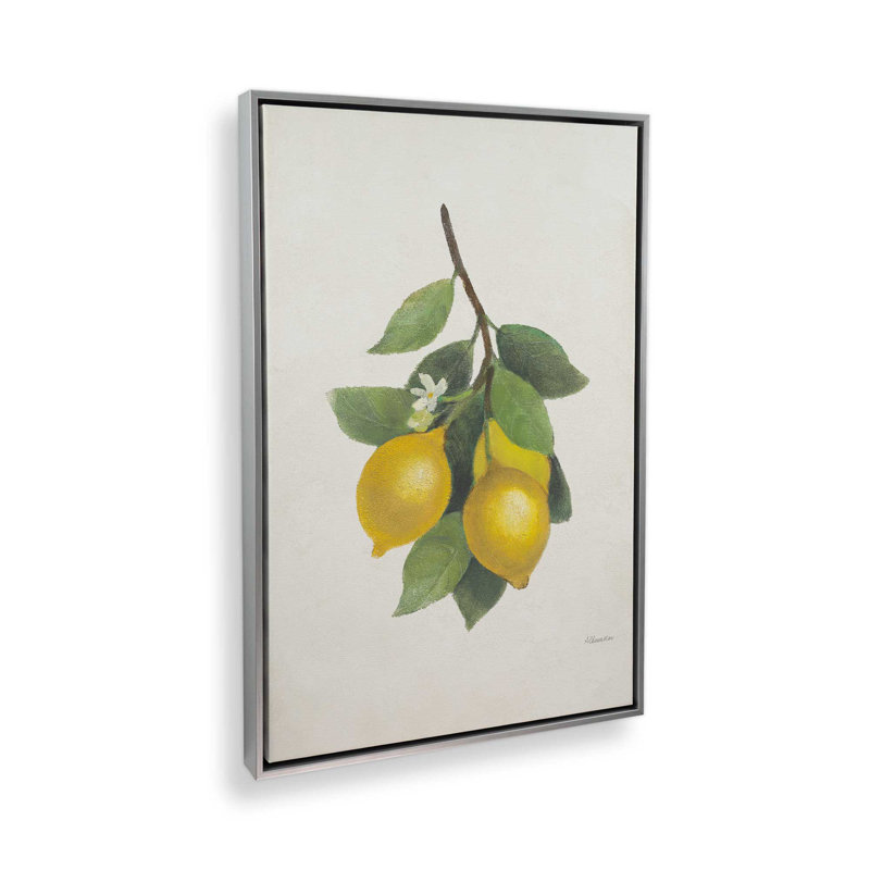«Lemon Harvest II», reproduction sur toile, Polished Chrome Floater Frame, 18.75" H x 12.75" W