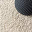 Tapis crème à poils longs Felicdad-1714128816