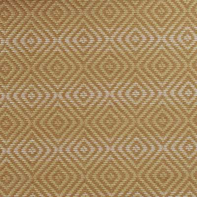 Tissu traditionnel ii Wainwright