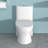One Piece Ceramic Toilet For Bathroom, 12-Inch Rough-In, Dual Flush (1.22/1.6 GPF) With Soft-Closing Seat
