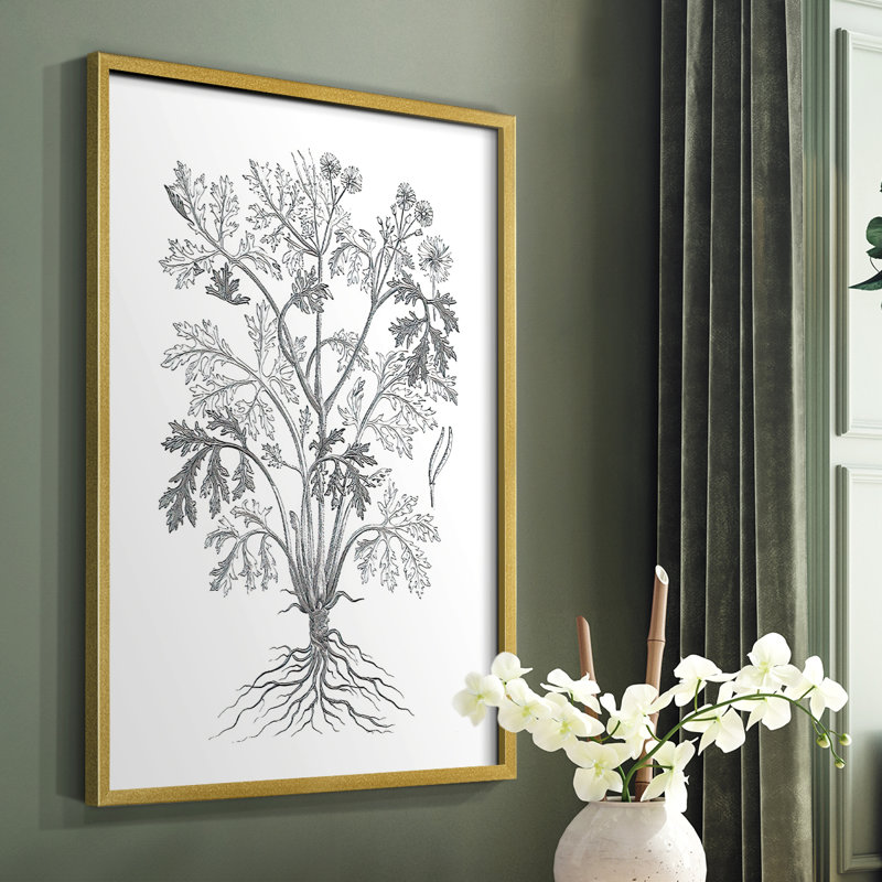 «B&W Plant Spechantillon II», reproduction encadrée - bois massif, H 10 po x l 8 po, Or