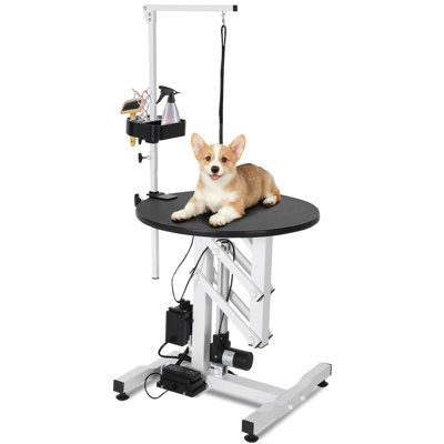 Table de toilettage 24 po pour chien