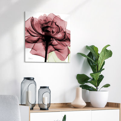 " Chianti Rose II " by Albert Koetsier