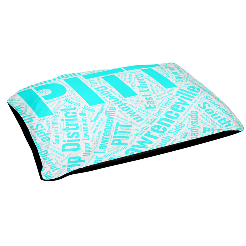 Oreiller rectangulaire designer, Moyen L 40 po x l 30 po, Cyan, Pittsburgh