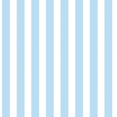 Bellamy 1000cm x 53cm Matte Wallpaper Roll
