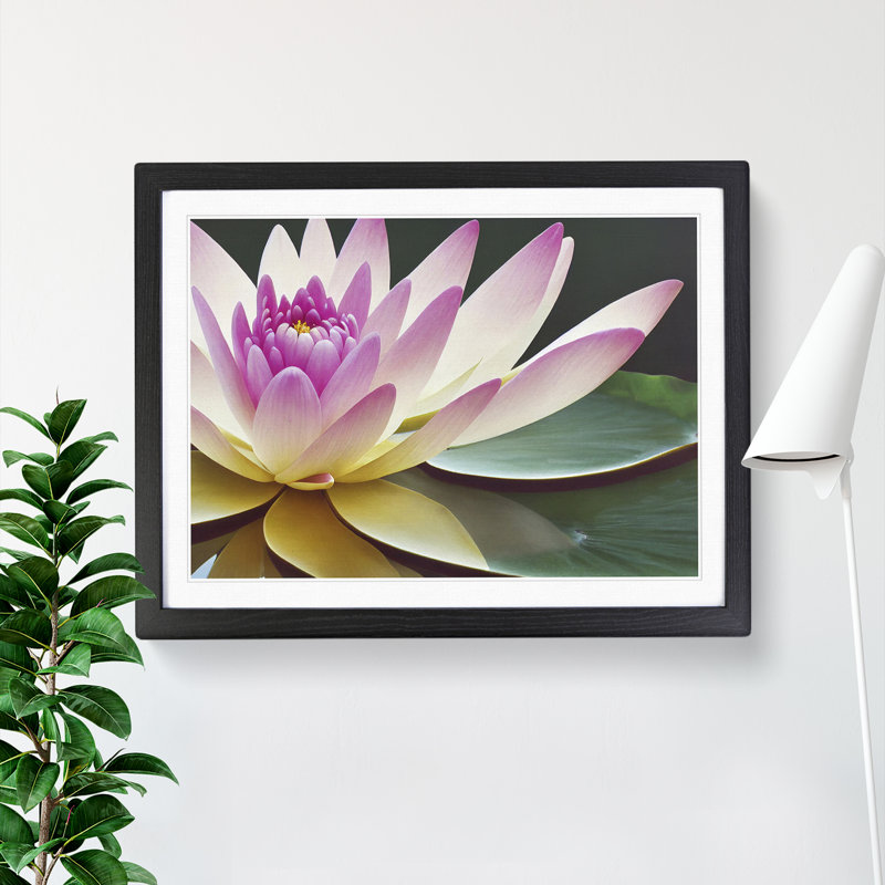 Innovative Water Lily Flower - Single Picture Frame Print, Black, 34cm H x 46cm W x 2cm D