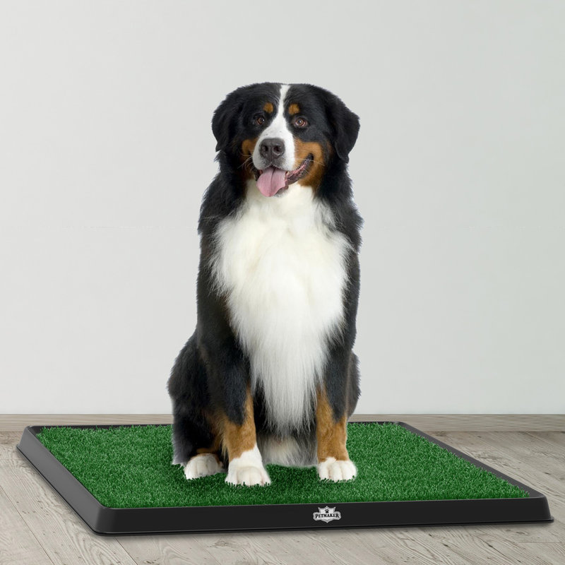 Plateau pour animaux Petmaker, Petit (l 25 po x P 20 po x H 1,25 po)
