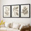 Antique sépia botanicals iv - reproduction encadrée sur mesure de qualité supérieure - 3 pièces