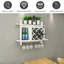 Nault Wall Mounted Wine Bottle Rack in