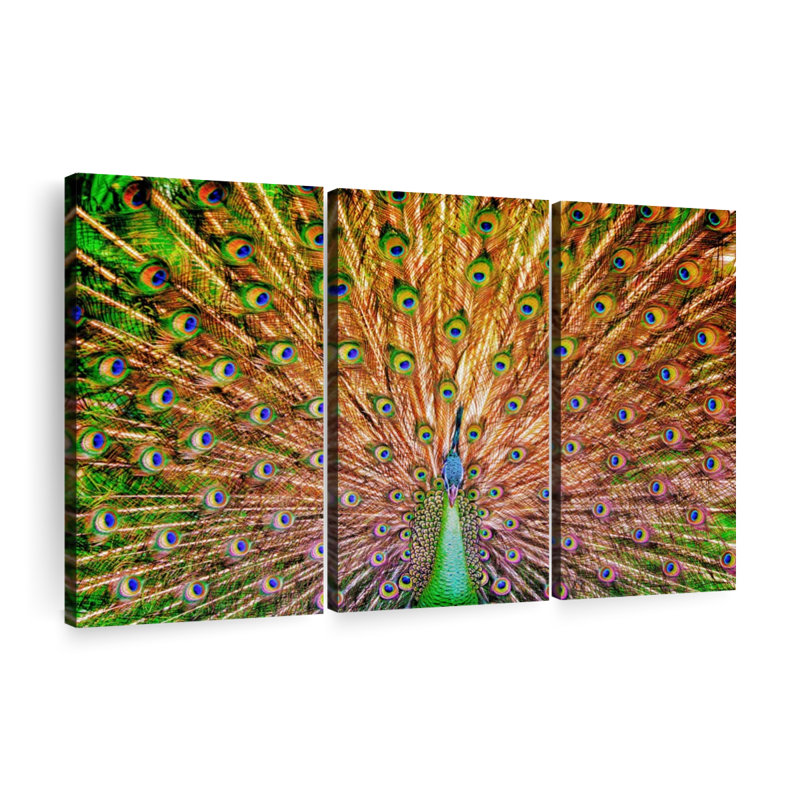 «Grand Green Peacock Wall Art» sur toile, H 14 po x l 23 po x P 1 po