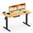 Eric Height Adjustable Standing Desk, 100% Bamboo Desktop-796140281-796140280