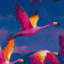 Papier peint abstrait flamants roses-1848466610