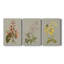 Botanical Array I - Toile tendue sur mesure avec châssis - 3 pièces-365194656