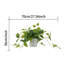 Paquet de 1 plante artificielle Scindapsus aureus en pots