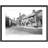 Bampton, Fore Street C1955 - Single Picture Frame Print-51138992