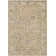 Oriental Indoor Rug