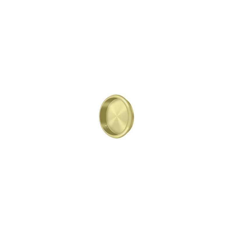 Brass Push/Pull Plate, Polished Brass