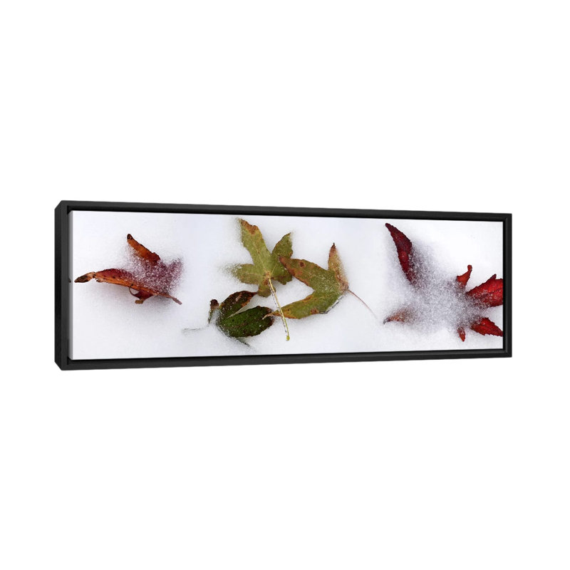 « leaves », reproduction de photo sur toile tendue, H 12 po x l 36 po x P 1,5 po, Toile avec cadre noir