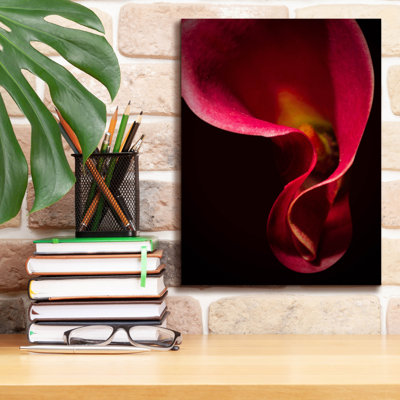 Fleur rouge par Mark Ashkenazi
