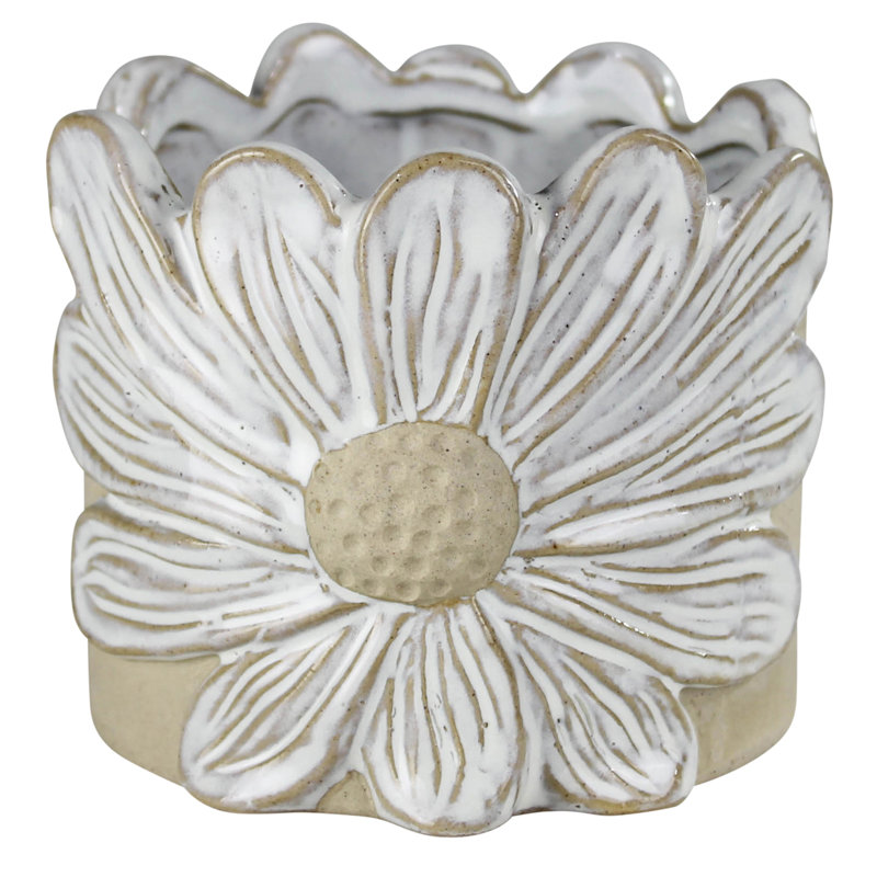 Daisy Flower Cachepot