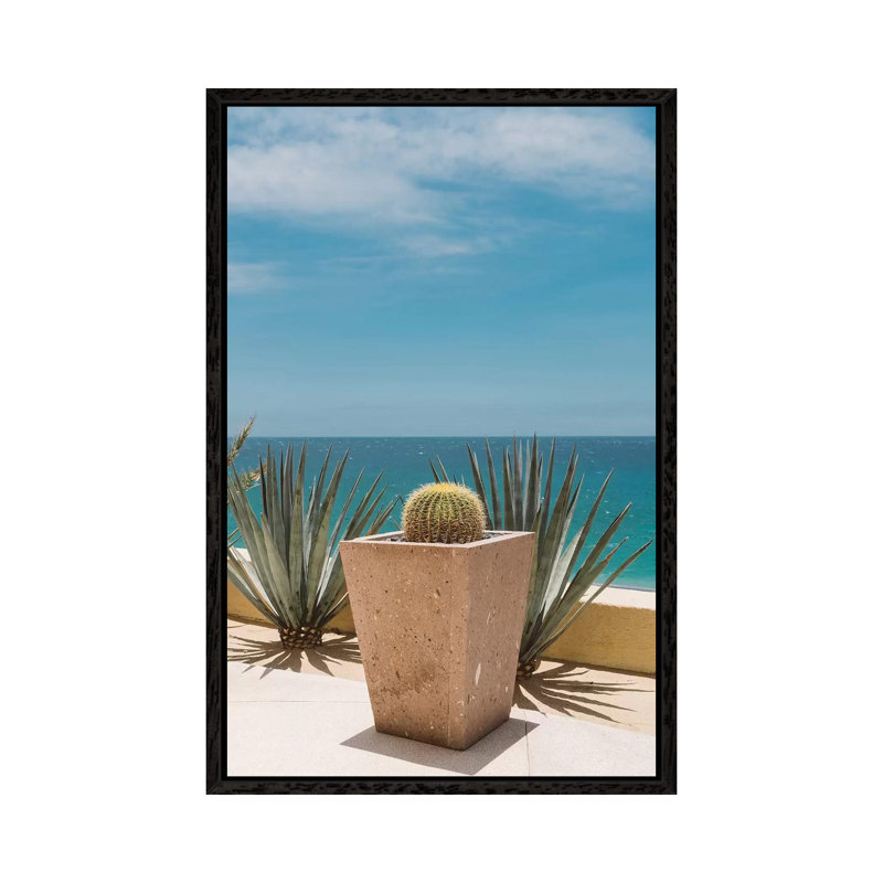 Cabo Cactus by Bethany Young - Print on Canvas, 152.4cm H x 101.6cm W x 3.81cm D, Black Framed